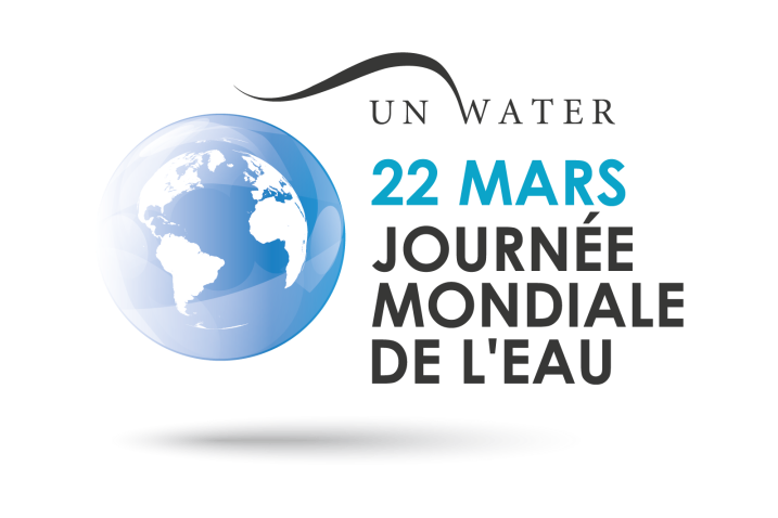 Journ&eacute;e Mondiale de l'Eau